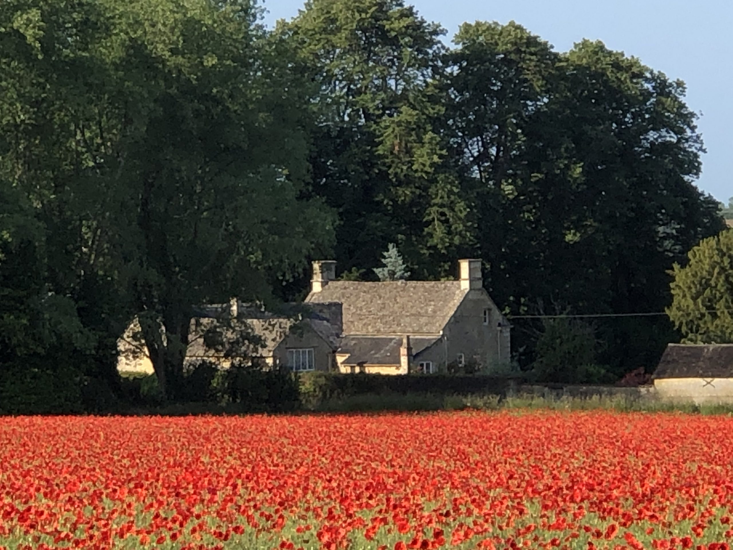 Enstone Parish poppies Church Enstone