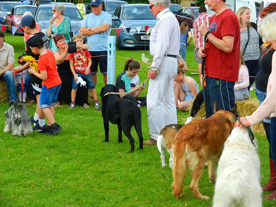 Enstone Parish Dog Show